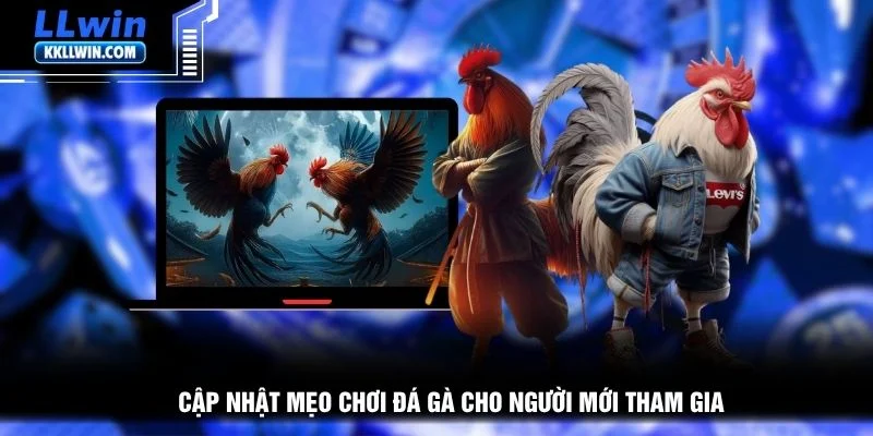 Cập nhật mẹo chơi đá gà cho người mới tham gia