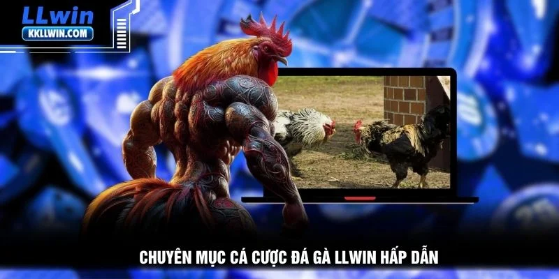 Chuyên mục cá cược đá gà LLWIN hấp dẫn