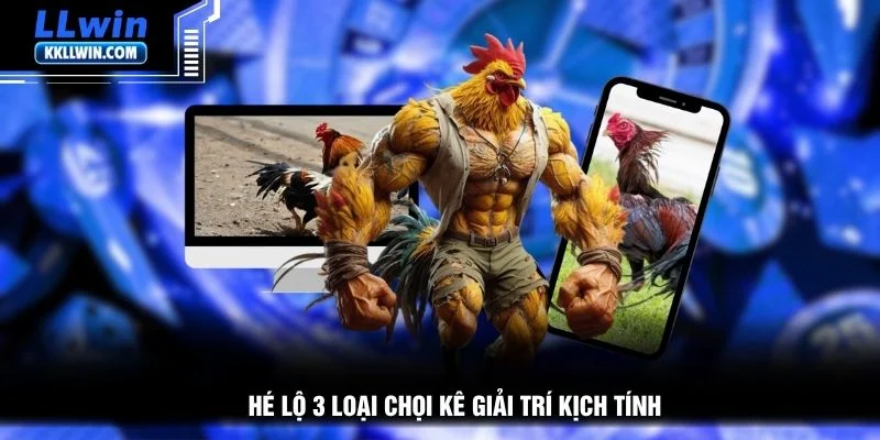Hé lộ 3 loại chọi kê giải trí kịch tính