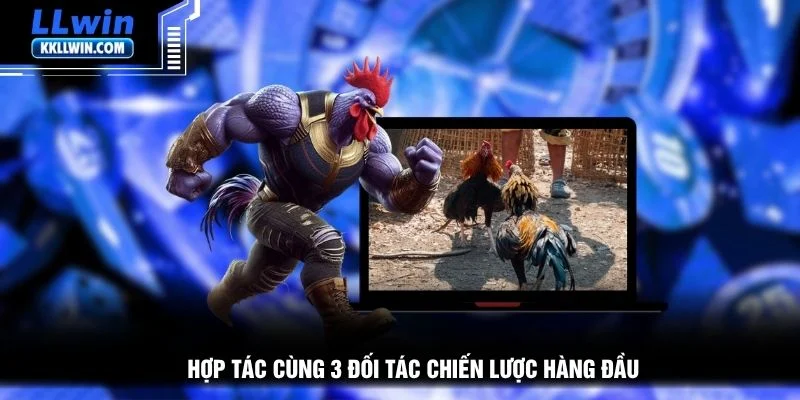 Hợp tác cùng 3 đối tác chiến lược hàng đầu