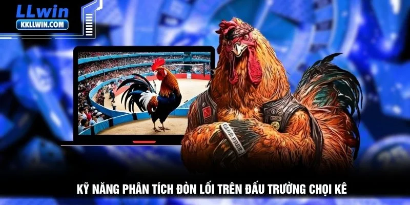 Kỹ năng phân tích đòn lối trên đấu trường chọi kê