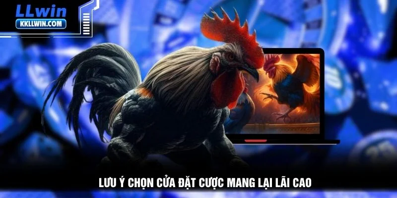 Lưu ý chọn cửa đặt cược mang lại lãi cao