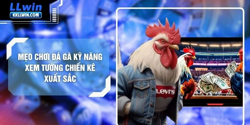 Mẹo Chơi Đá Gà Kỹ Năng Xem Tướng Chiến Kê Xuất Sắc