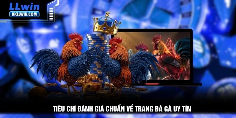 Tiêu chí đánh giá chuẩn về trang đá gà uy tín