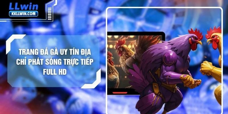 Trang Đá Gà Uy Tín Địa Chỉ Phát Sóng Trực Tiếp Full Hd